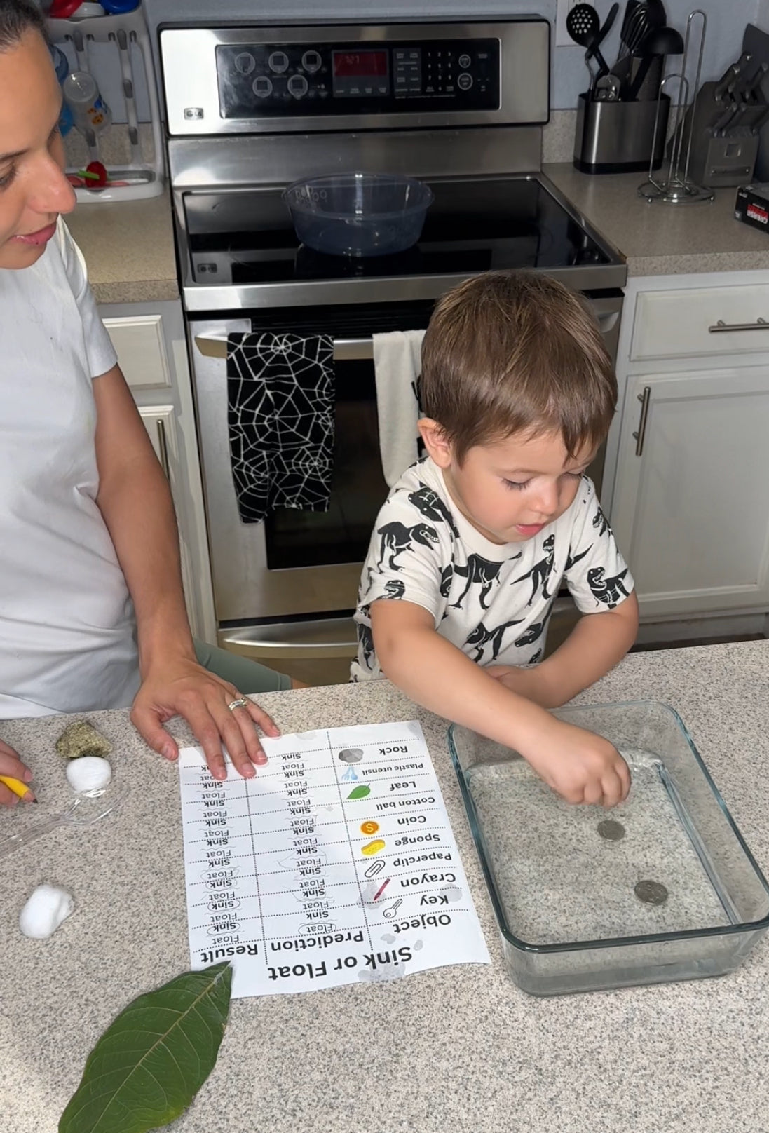 Sink or Float Lab Activity